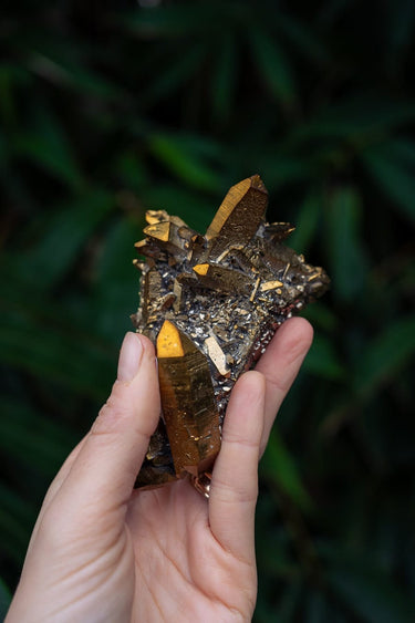 Golden Aura Cluster